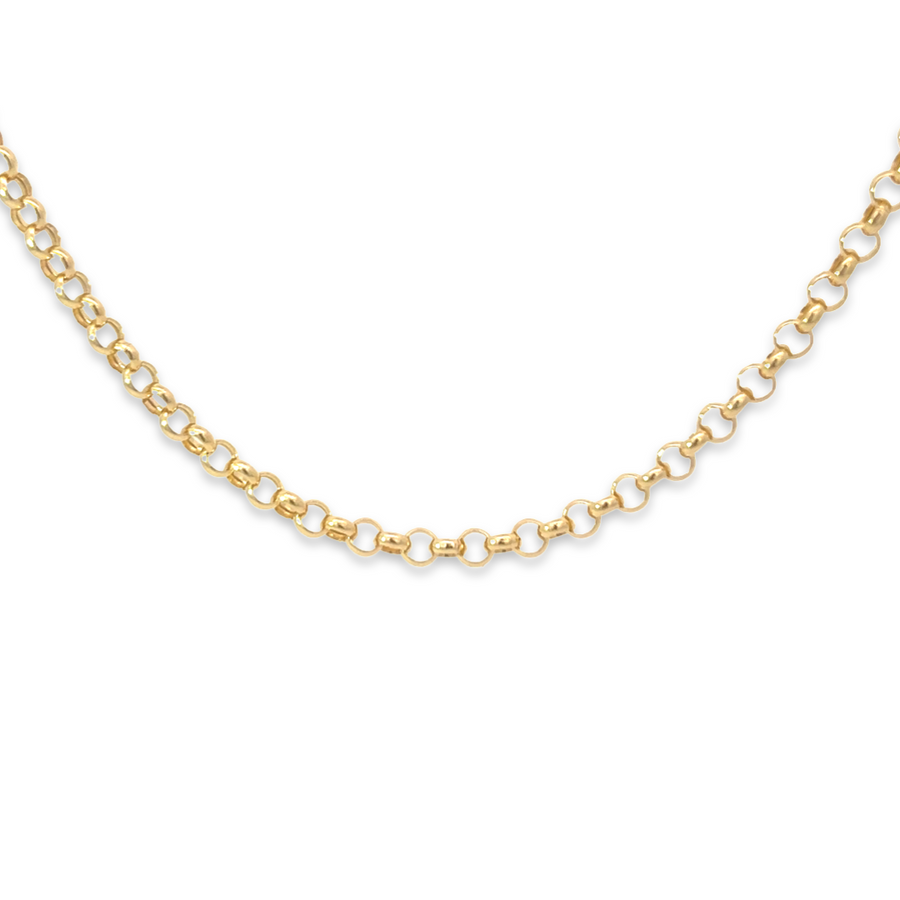 14K Gold 3.75mm Rolo Chain Necklace